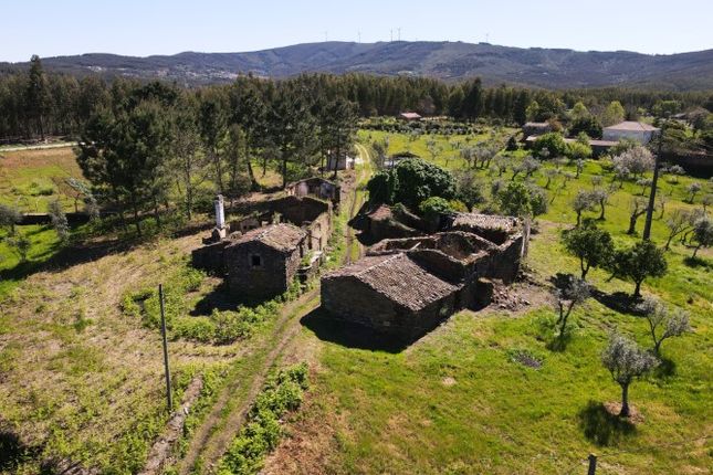 Land for sale in Pedrógão Pequeno, Pedrógão Pequeno, Sertã, Castelo Branco, Central Portugal