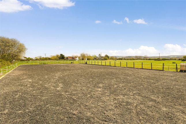 Puddy Moor Stables,, West Rolstone Road, Weston-Super-Mare photo 2