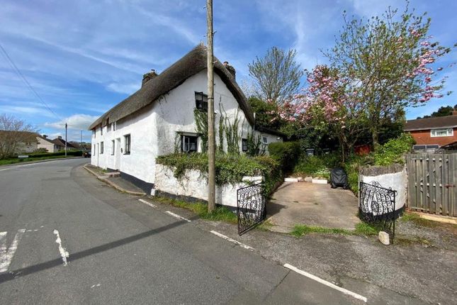 Cottage to rent in Fore Street, Barton, Torquay
