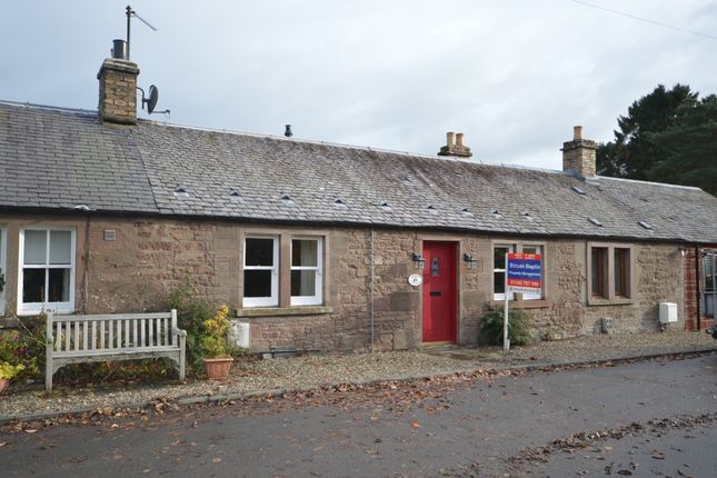 Thumbnail Cottage to rent in Wallace Street, Ardler, Perthshire