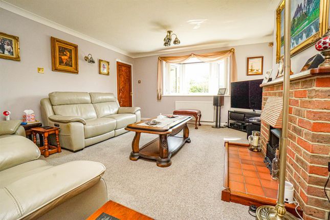 Spring Cottage, Butchers Lane, Three Oaks photo 3