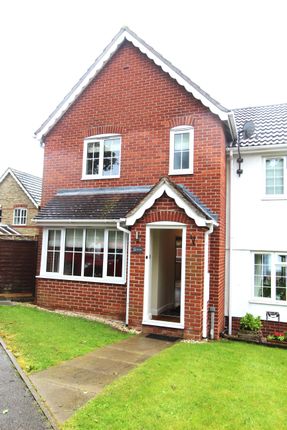 Thumbnail Semi-detached house to rent in Birch Drive, Halstead