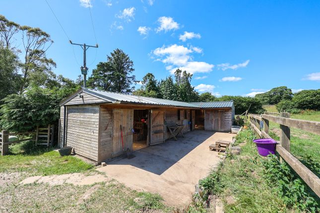 Detached bungalow for sale in St Mewan, St Austell