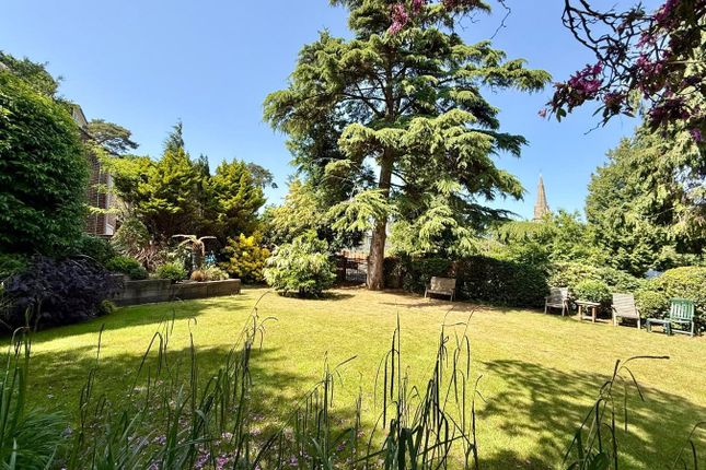14, Ipswich Road, Westbourne photo 2