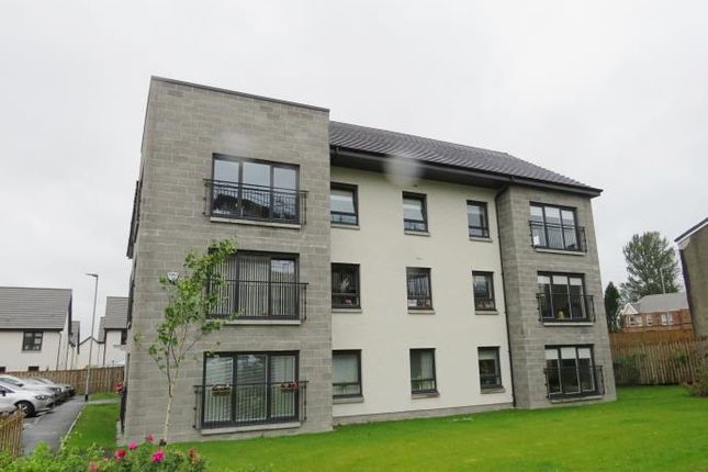 Thumbnail Flat to rent in Paragon Drive, Motherwell