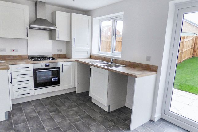 37, Fulmar Drive, Amble photo 2