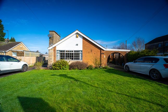 Quesara, Carr Lane, Goole photo 2