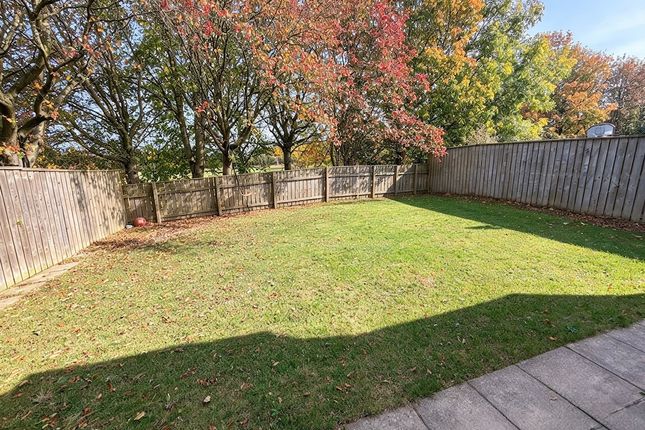 9, Durham photo 2