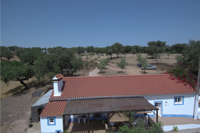 Land for sale in Alentejo, Portalegre, Portugal