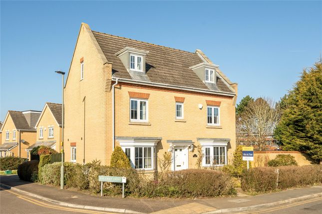 Thumbnail Detached house for sale in Wellbrook Road, Orpington
