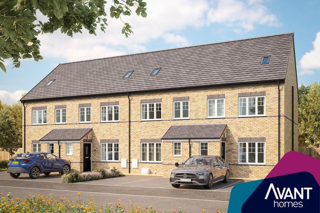 Thumbnail End terrace house for sale in "The Saltaire" at Cookson Way, Brough With St. Giles, Catterick Garrison