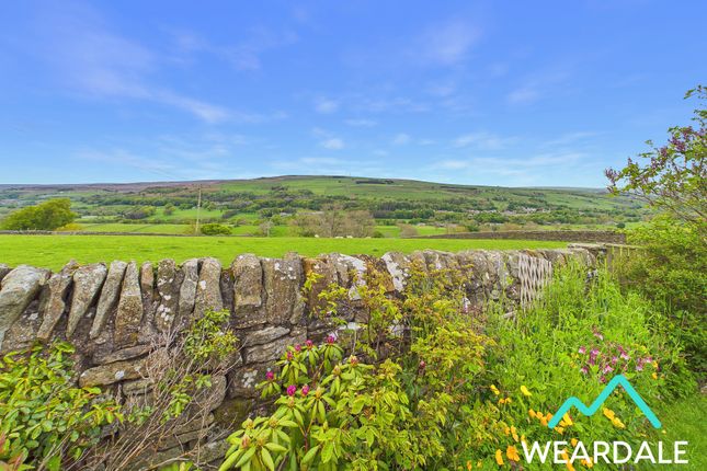 Heather View, Hill End, Bishop Auckland photo 4