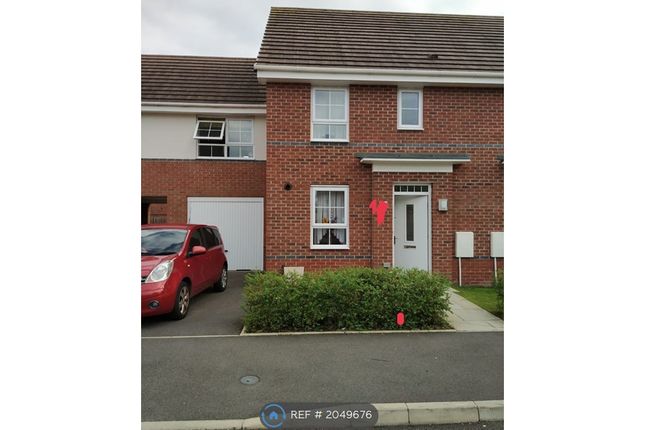 Thumbnail Semi-detached house to rent in Amelia Crescent, Coventry