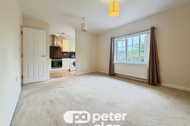20-22, Cardiff photo 5