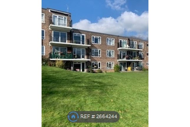 View From Back Garden