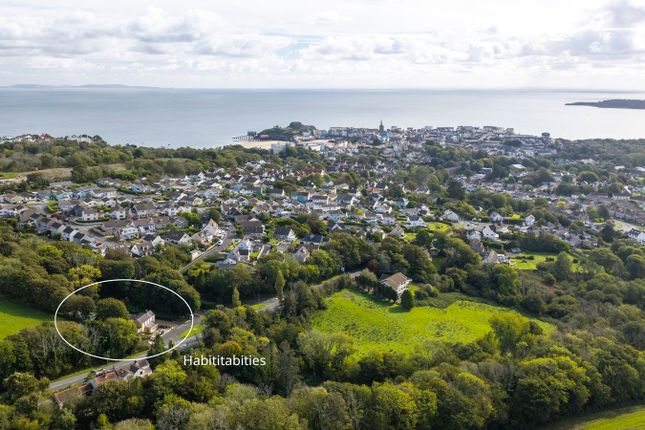 Habititabities, Narberth Road, Tenby photo 3