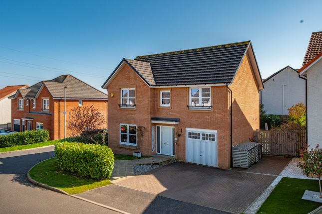Thumbnail Detached house for sale in Lady Nancy Crescent, Blantyre, Glasgow