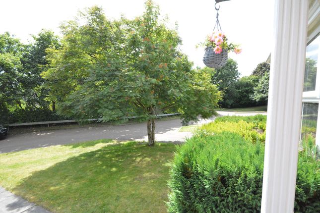 12 Farquharson Way, Falkirk photo 5