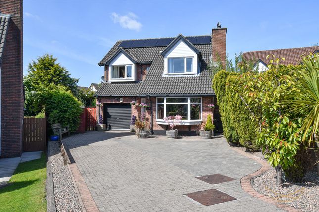 Thumbnail Detached house for sale in Burnet Close, Newtownabbey