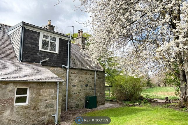 Home Farm House, Kemnay House Kemnay, Inverurie photo 2
