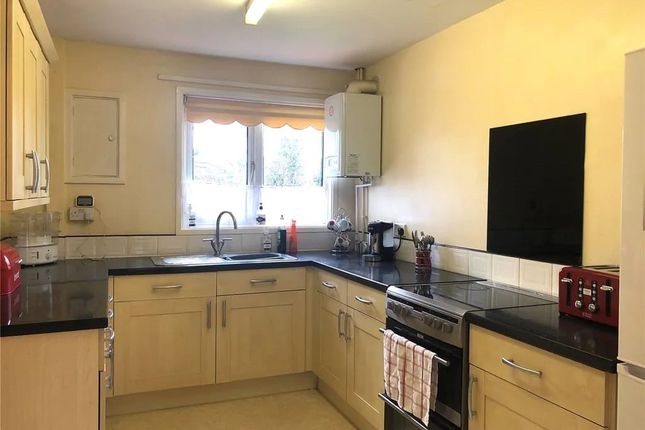 173, Wantage, Telford photo 2