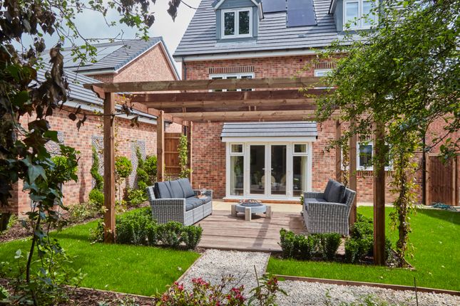 Back Garden