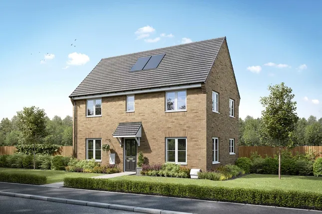 Taylor Wimpey - Buckton Fields
