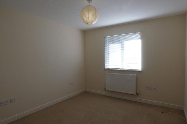 Perth Street, Perth Street, HULL photo 5