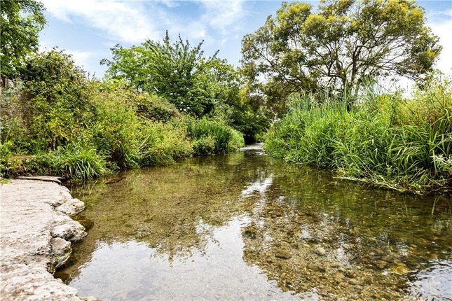 Nearby Mill St Pond