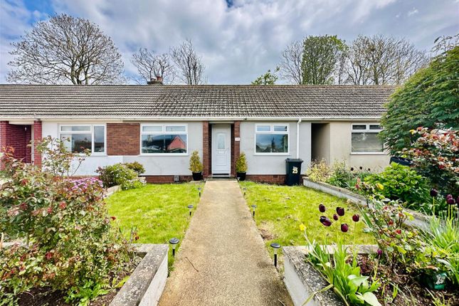 Terraced bungalow for sale in Peaseditch, St Marys, Brixham