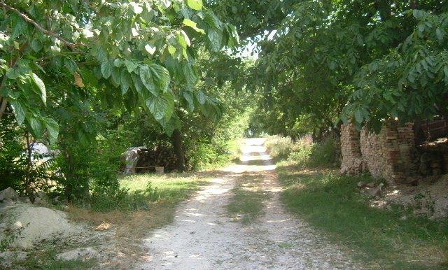 Thumbnail Land for sale in Bdintsi 1, Bdintsi, Bulgaria
