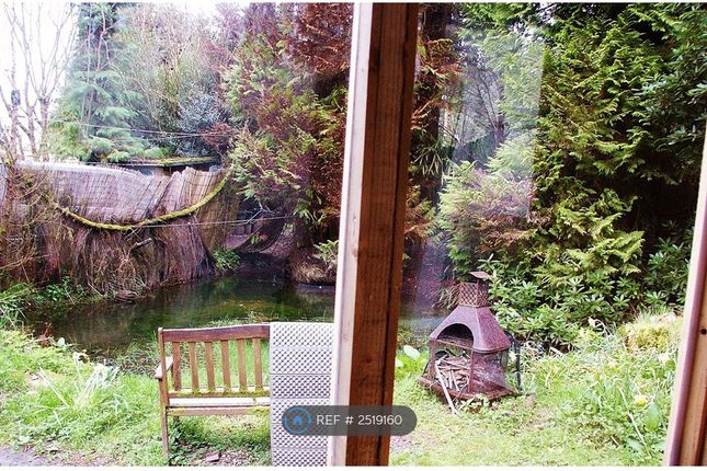 From Summer House Side Windows