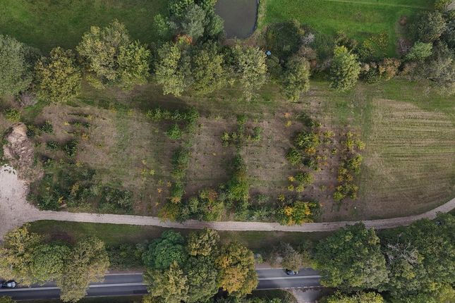 Plot 2, Land Adjacent, A339, Headley photo 3