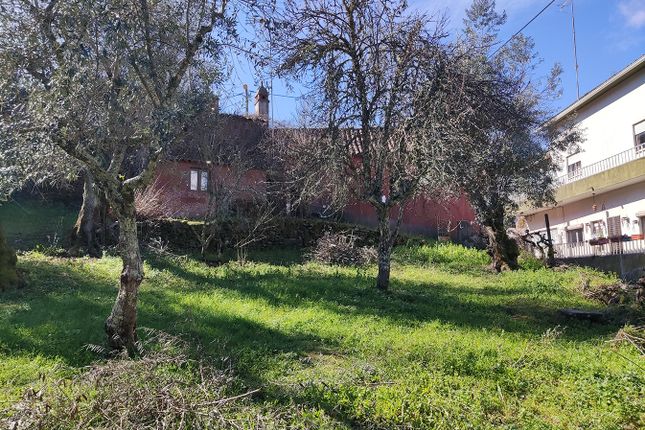 Detached house for sale in Proença-A-Nova, Proença-A-Nova, Castelo Branco, Central Portugal