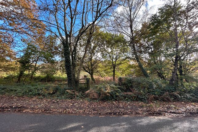 Land for sale in Newtown Road, Awbridge, Romsey