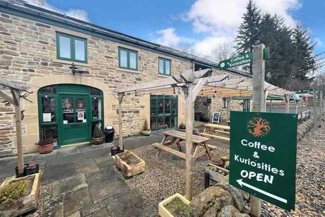 Thumbnail Restaurant/cafe for sale in Coffee &amp; Kuriosities, Allen Mill, Allendale, Northumberland