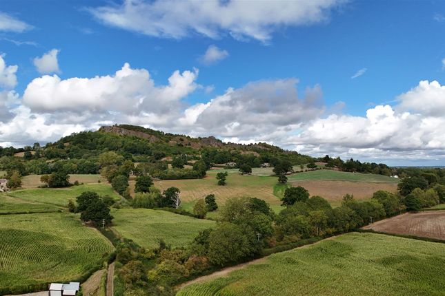 Dji_20250814142515_0007_D.Jpg
