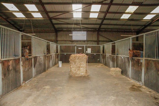 Thumbnail Equestrian property to rent in Highlands, Collingbourne Ducis, Wiltshire