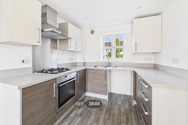 Kitchen / Living Area