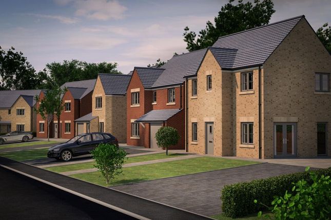The Rede at Towerburn View, Alnwick photo 3
