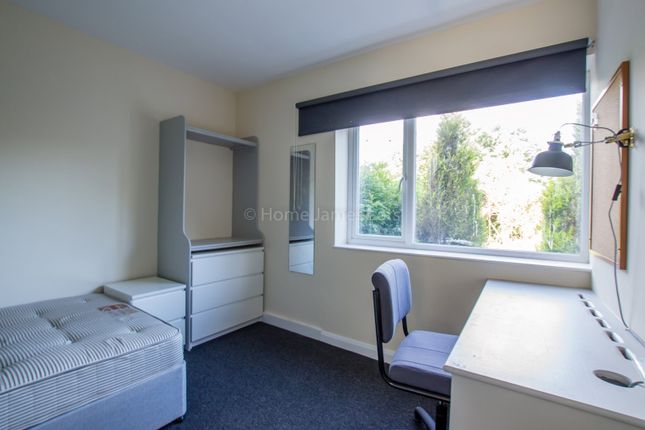 Homes To Let In Falmer Rent Property In Falmer Primelocation