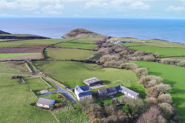 Homes For Sale In Cardigan Buy Property In Cardigan Primelocation