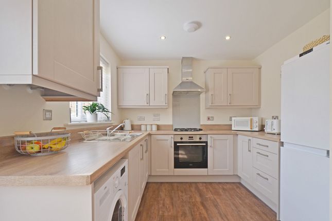 2 Tutsan Lane, St. Austell photo 4