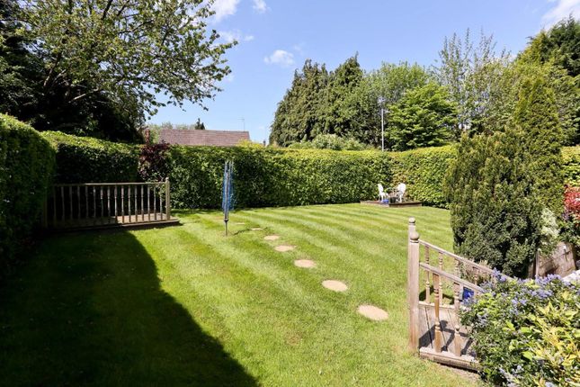 Garden-2.Jpg