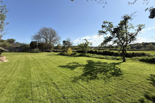 Frogmore House,, Frogmore Road, Budleigh Salterton photo 4