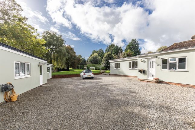Detached bungalow for sale in Eastbourne Road, Halland