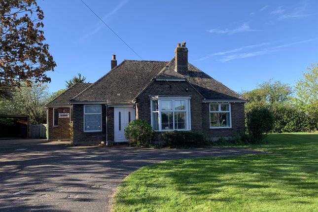 Detached bungalow to rent in Main Road, Bosham, Chichester