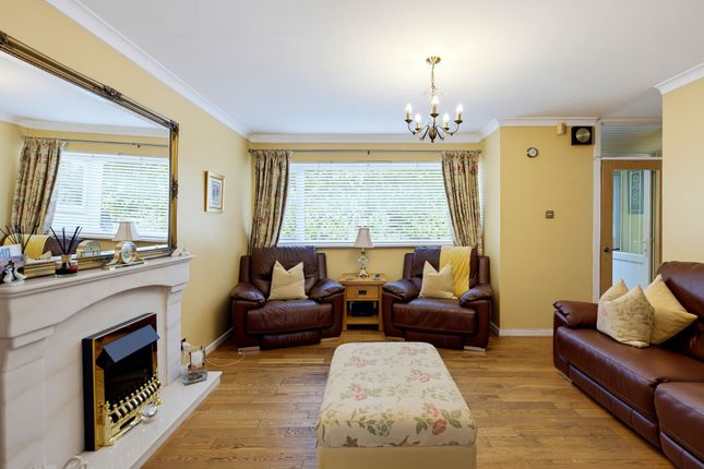 116 Fairwood Road, Cardiff photo 4