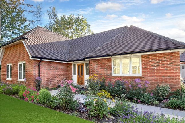 Thumbnail Bungalow for sale in Manorwood, West Horsley, Leatherhead, Surrey