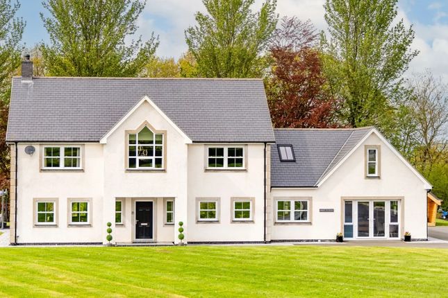Thumbnail Leisure/hospitality to let in Rhosygarth, Llanilar